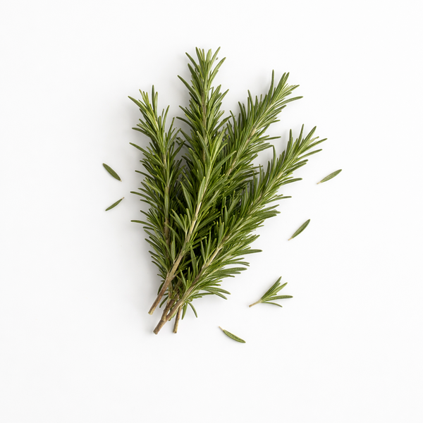 שמן עלי רוזמרין רפואי